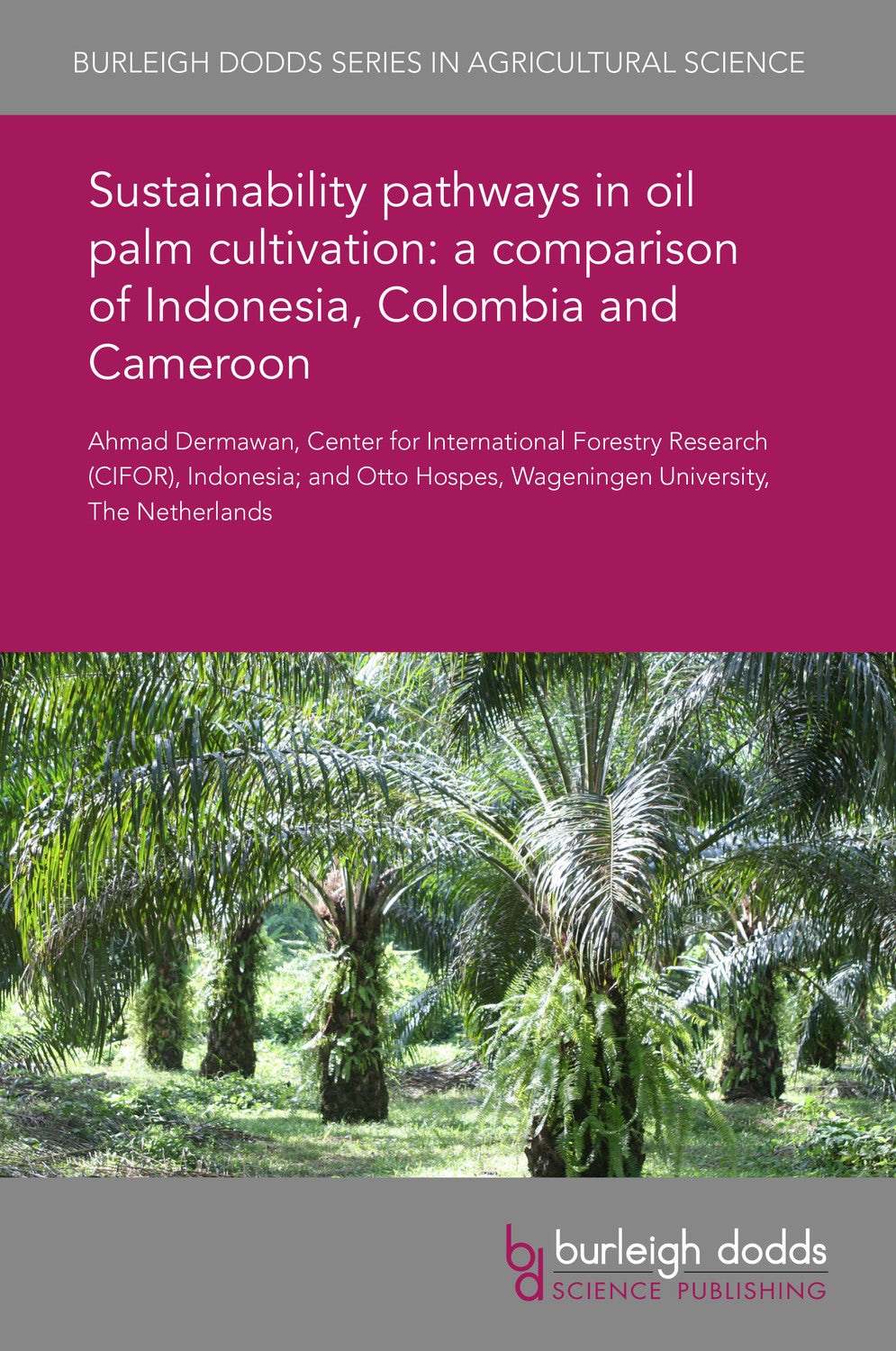 Book cover image for Sustainability pathways in oil palm cultivation: a comparison of Indonesia, Colombia and Cameroon ISBN: 9781838794620